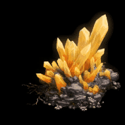 3.gif